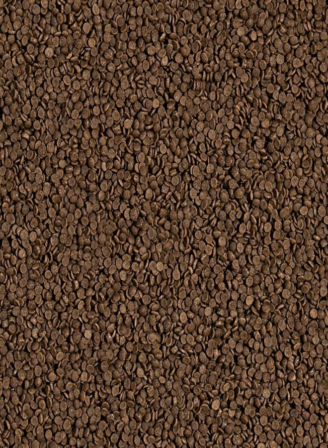 Tropical Welsi Gran Daily Feeding of Omnivorous and Carnivorous Fish (for Catfish, loaches, Catfish, and Algae Eaters) 100ml/65g - 60463 - Image 2